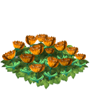 Tulip flower bed orange last