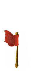 Flag lion last