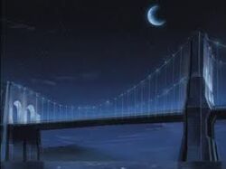 The Bridge-SoM