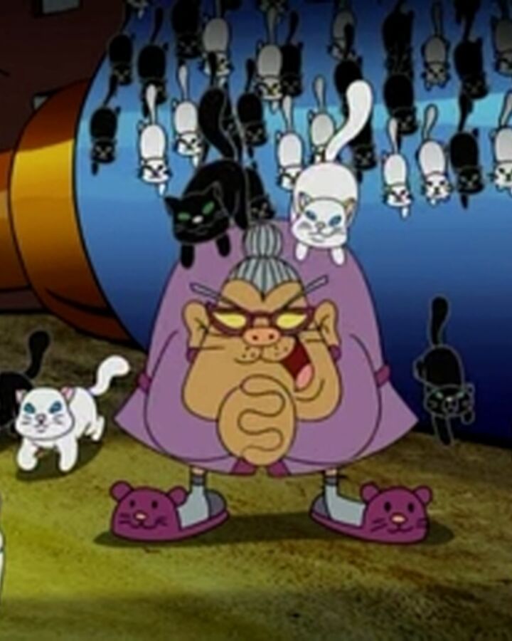 Crazy Old Cat Lady Knd Code Module Fandom