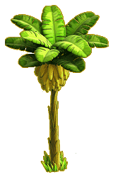 Image - Banana tree ph4.png | Knights and Brides Wiki | FANDOM powered by Wikia