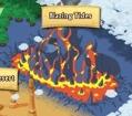 Blazing