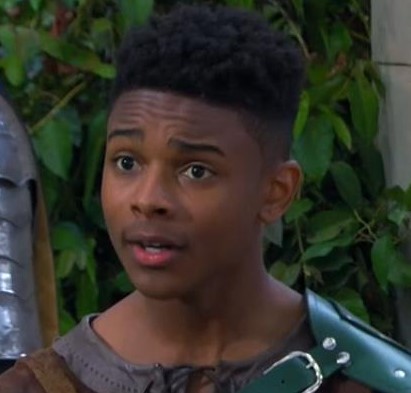 nickelodeon knight squad wiki nickelodeon knight squad wiki