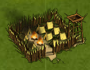 Barbarians