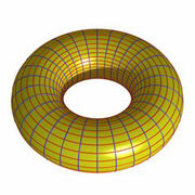 Torus