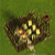 Kingdoms Of Camelot Barbarian Camps Kingdoms Of Camelot Barbarian Camps