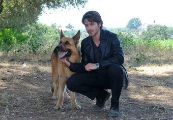 Davide Rivera Komissar Reks Wiki Fandom
