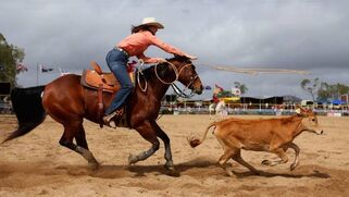 Calf roping