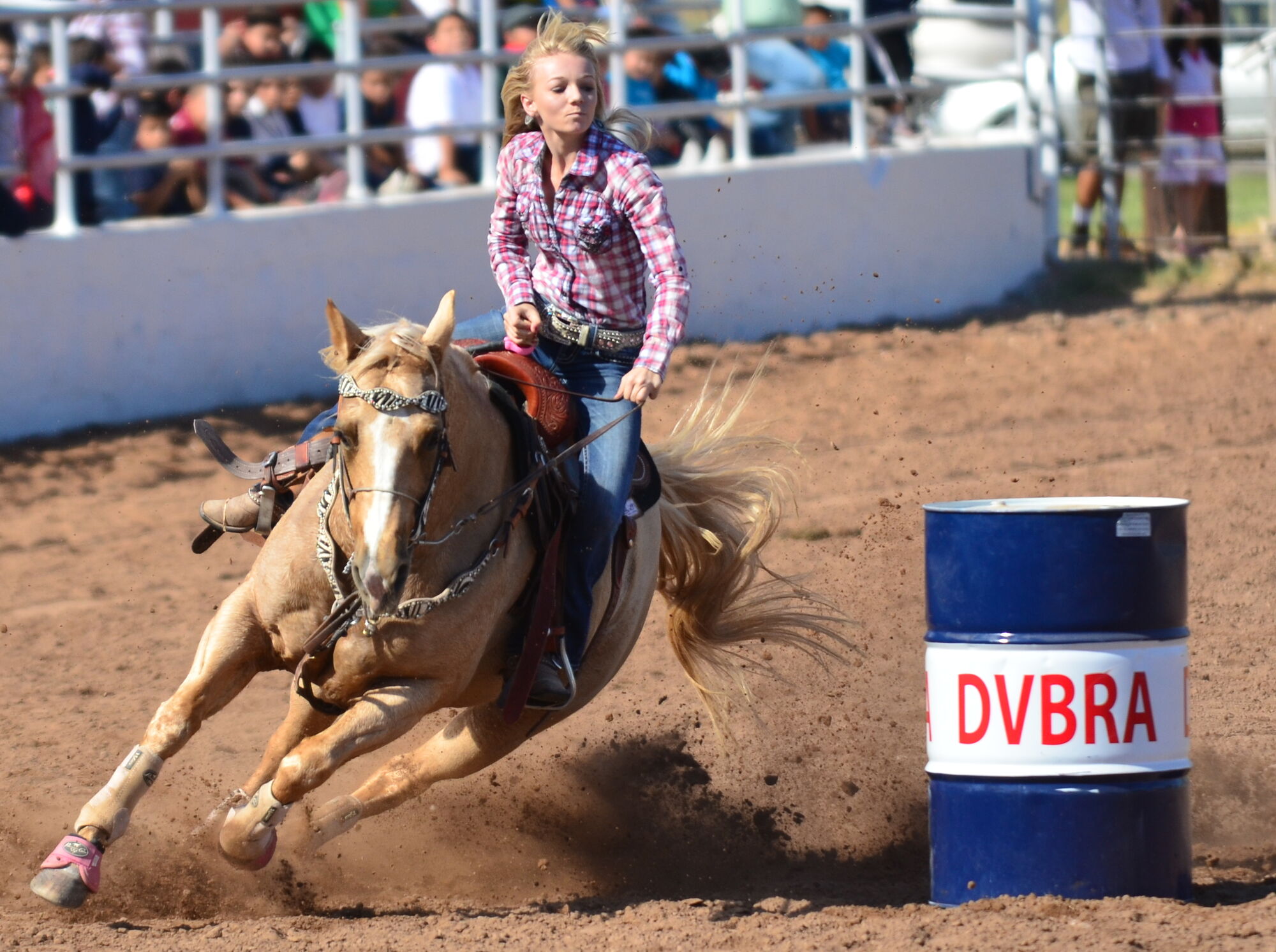 Barrel racing Koń Wiki Fandom