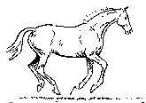 Konie-galop