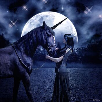 97627 the-black-unicorn p