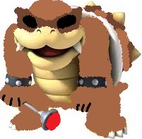 Rory Koopa