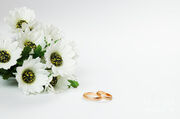 1-wedding-rings-and-flowers-michal-bednarek