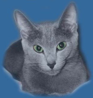 Hetta