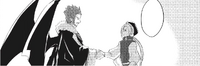 Alliance between Zeldis and Elf