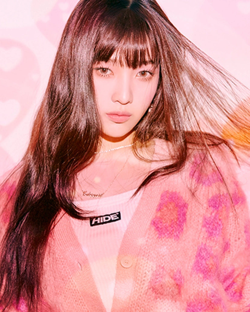 Joy Kpop Wiki Fandom