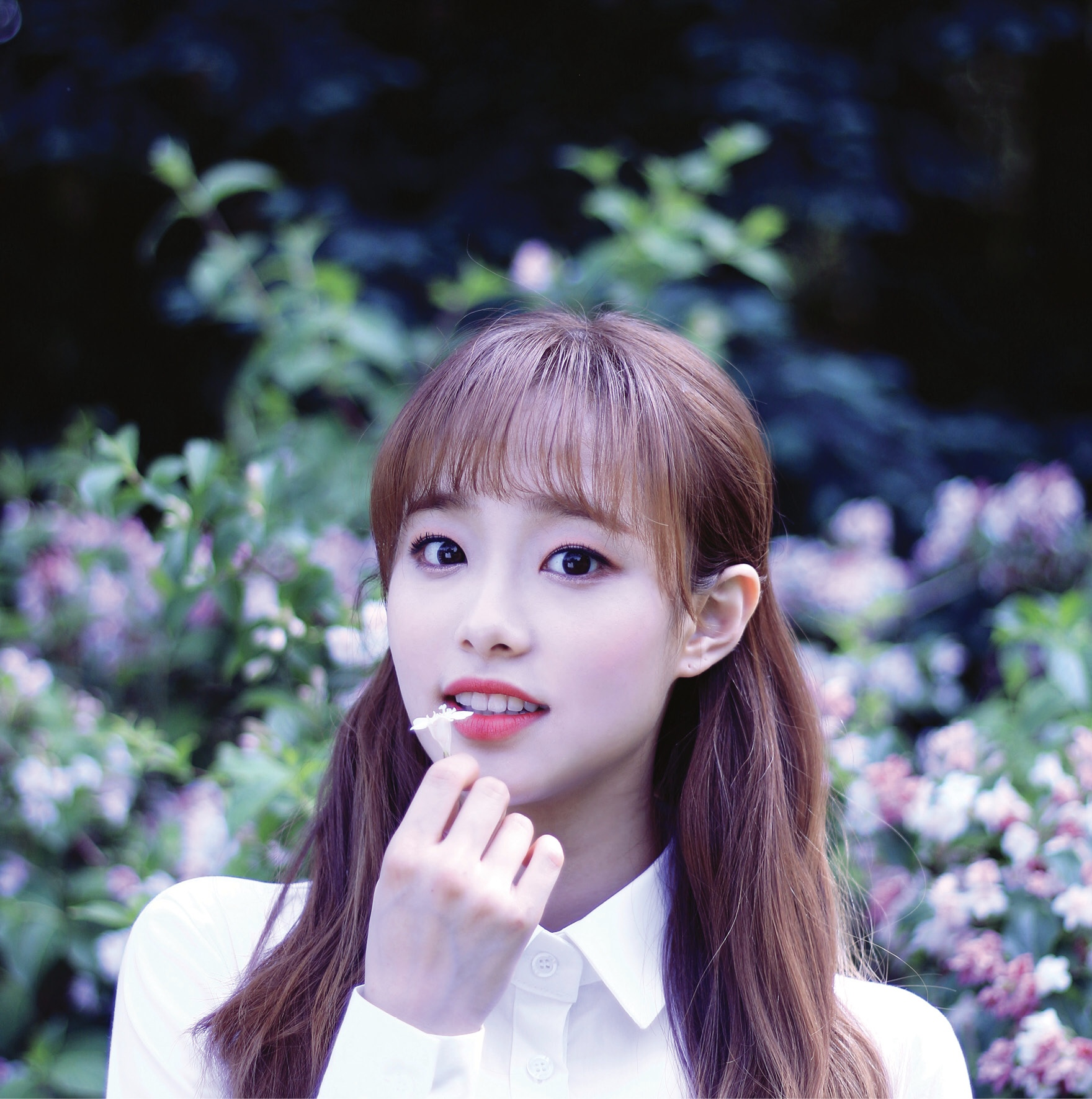 loona | 2048
