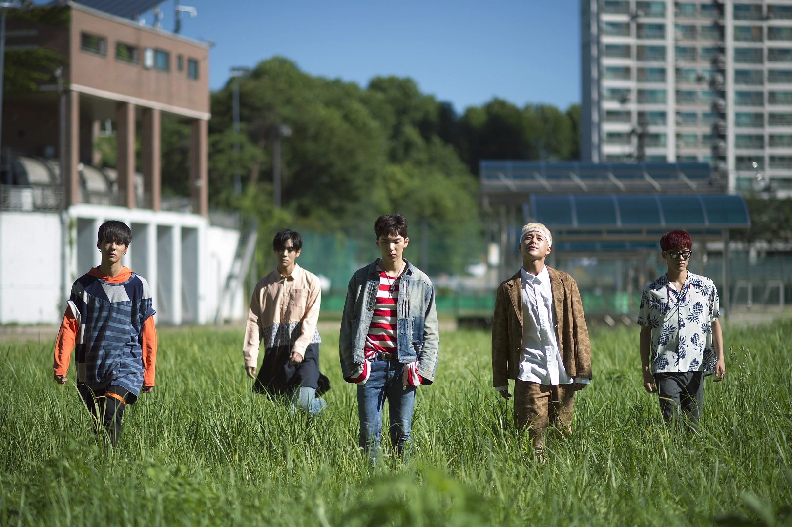 IMFACT | Kpop Wiki | FANDOM powered by Wikia