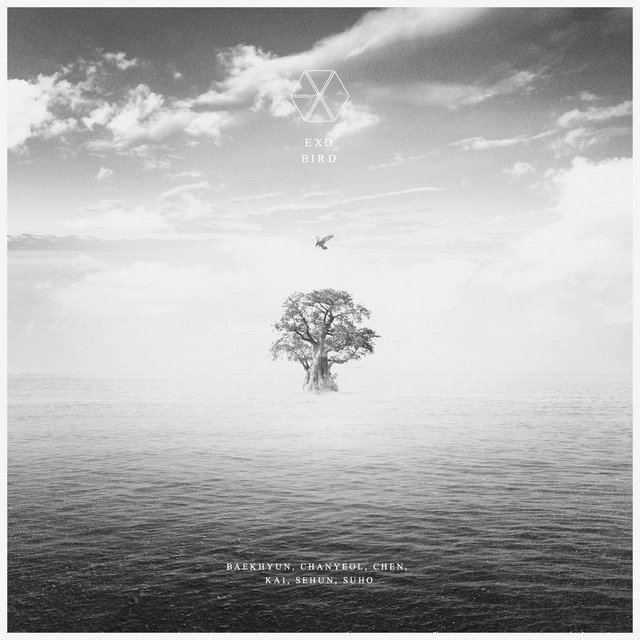 Bird | Kpop Wiki | Fandom