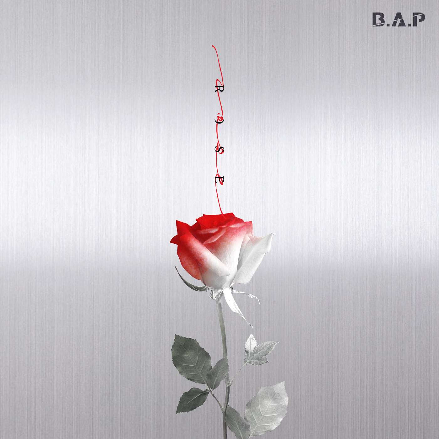 Bap Rose Album Cover - FREE DOWNLOAD