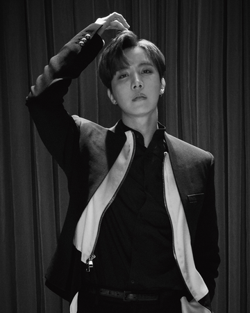 J Hope Kpop Wiki Fandom