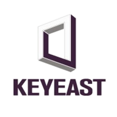 Plik:LOGO KEYEAST.png