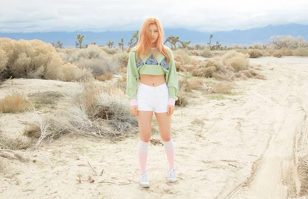 Joy Red Velvet Ice Cream Cake Makeup Saubhaya Makeup