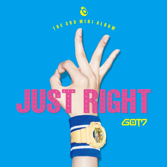 Image result for just right cover