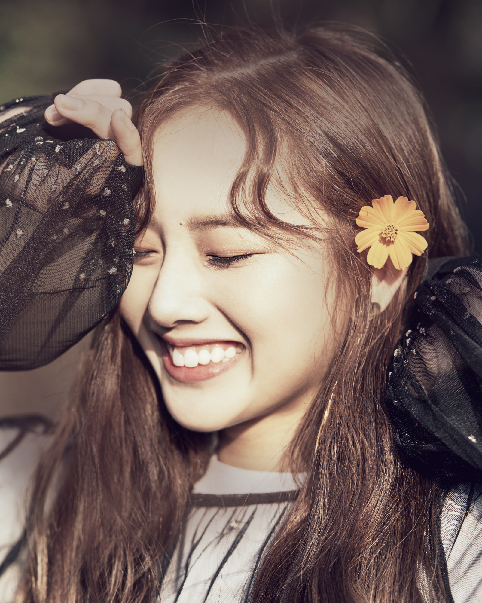 Kriesha Chu Kpop Wiki FANDOM powered by Wikia