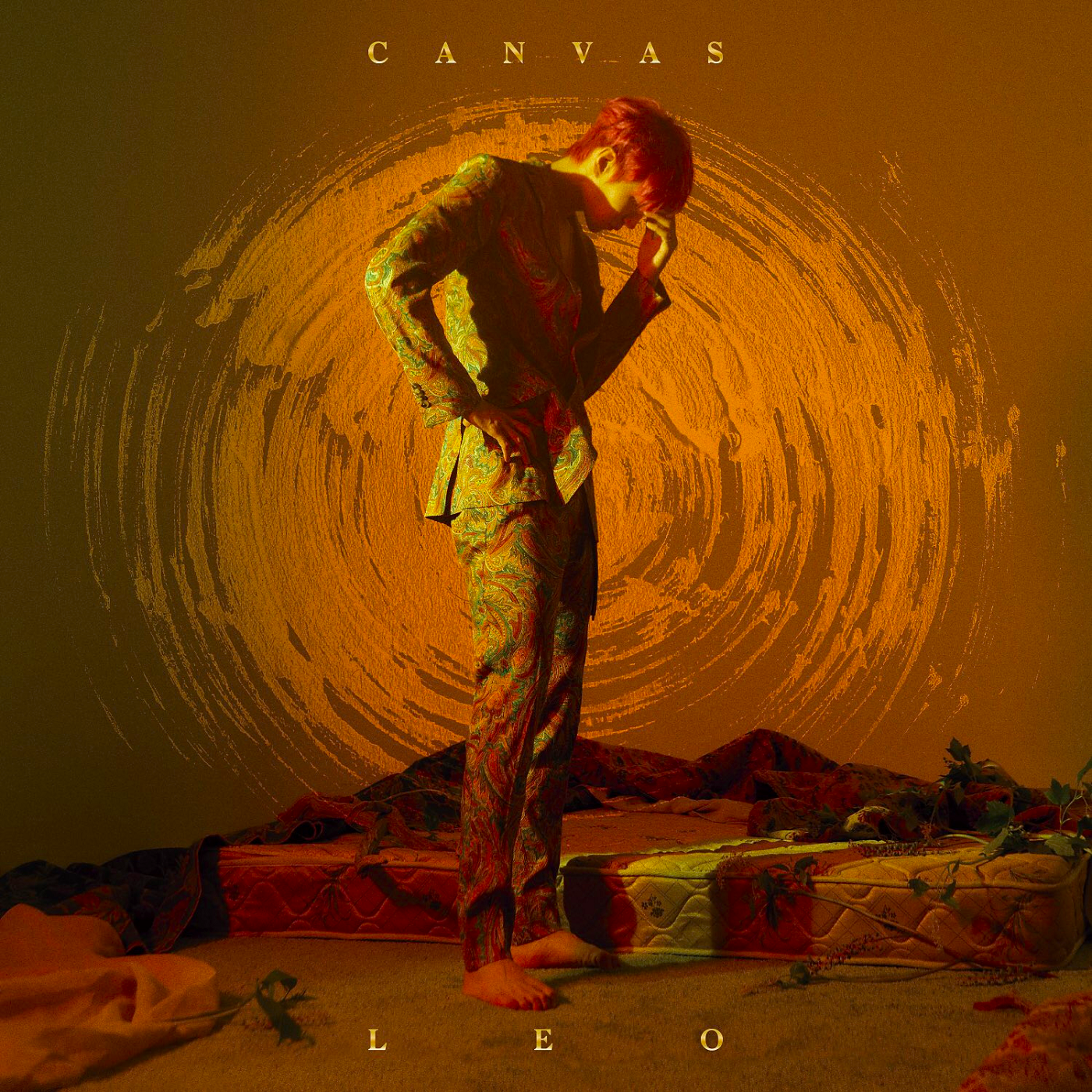 Image Leo Canvas album cover.png Kpop Wiki FANDOM powered by Wikia