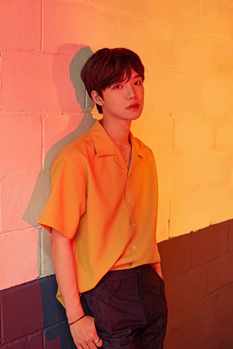 lim young min kpop wiki fandom powered by wikia lim young min kpop wiki fandom powered by wikia