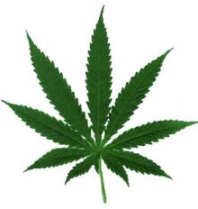 DankGoodness