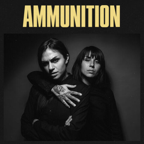 File:Ammunition.jpg