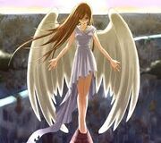 Images