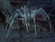 Redspider
