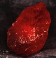 's Stone