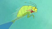 Super flea