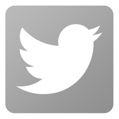 File:Icon-Twitter-inactive.png