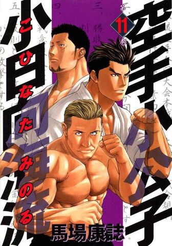 File:Volume 11.jpg