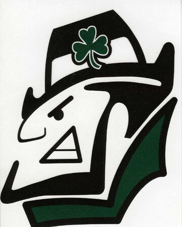 2020 Chapman Fighting Irish Football Team Kansas High School