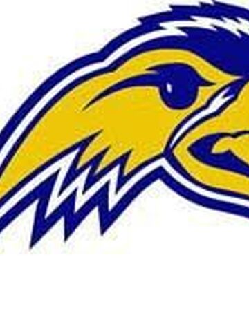 2019 Olathe South Falcons Football Team Kansas High School Athletics Wiki Fandom