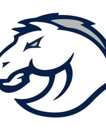 2019 Blue Valley North Mustangs Football Team Kansas High School