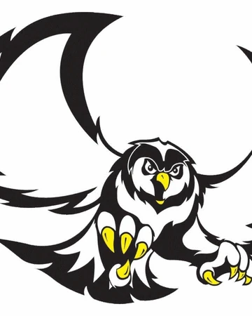 2020 Garden Plain Owls Football Team Kansas High School Athletics Wiki Fandom