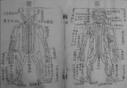Neh102f2