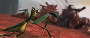 Mantis | Kung Fu Panda Wiki | FANDOM powered by Wikia