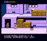 Dnm nes nishimura