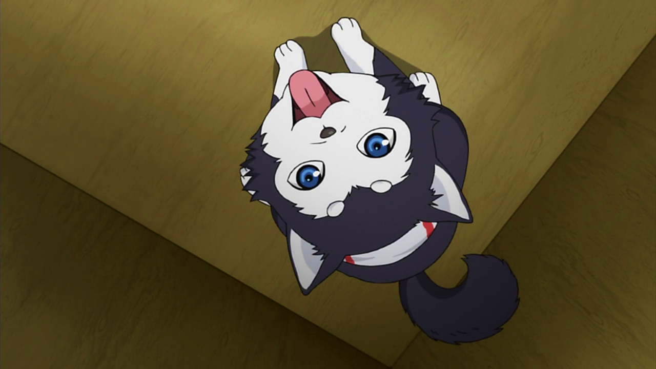 Tetsuya 2 Kuroko No Basuke Wiki Fandom