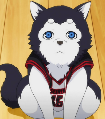 Tetsuya 2 Kuroko No Basuke Wiki Fandom