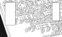 Ch103 Vincent Phantomhive's lineage