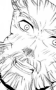 Higharm Curry